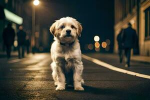 un blanco perro sentado en el calle a noche. generado por ai foto