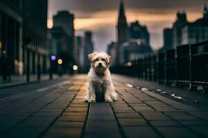 a small white dog sitting on the sidewalk in front of a city. AI-Generated photo