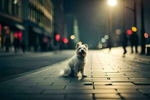 a white dog sitting on the sidewalk at night. AI-Generated photo