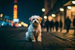 a dog sitting on the sidewalk at night. AI-Generated photo