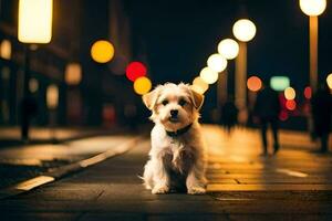 a small dog sitting on the sidewalk at night. AI-Generated photo