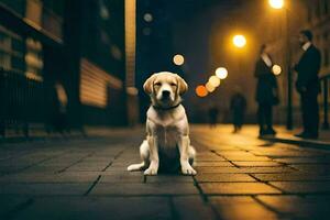 a dog sitting on the street at night. AI-Generated photo