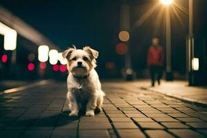 a dog sitting on a brick road at night. AI-Generated photo