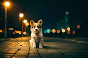 photo wallpaper the night, dog, street, city, lights, lights, the city, lights. AI-Generated