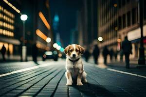 un perrito sentado en el calle a noche. generado por ai foto