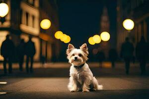 a small white dog sitting on the street at night. AI-Generated photo