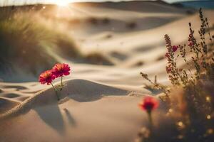 the desert flowers are growing in the sand. AI-Generated photo