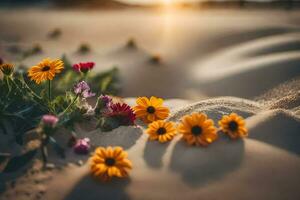 foto fondo de pantalla arena, flores, el sol, el desierto, flores, el desierto, flores. generado por ai