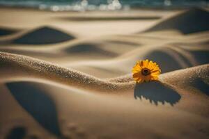 a single flower in the sand. AI-Generated photo