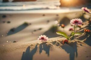 flores en el playa a puesta de sol. generado por ai foto