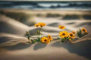 flowers in the sand. AI-Generated photo