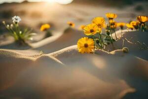 the desert flowers are blooming in the sand. AI-Generated photo