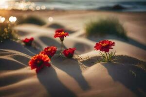 foto fondo de pantalla arena, el playa, flores, el sol, el playa, el arena, el. generado por ai