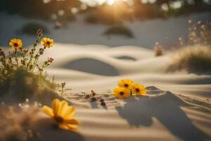 the sun shines on the flowers in the sand. AI-Generated photo