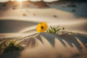 a single yellow flower in the desert. AI-Generated photo