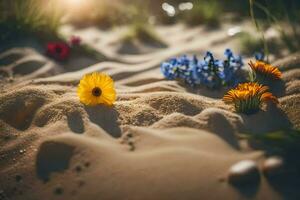 foto fondo de pantalla arena, flores, el sol, flores, el playa, flores, el arena,. generado por ai