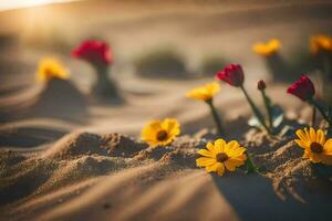 photo wallpaper sand, flowers, the desert, the sun, flowers, the desert, the sun. AI-Generated