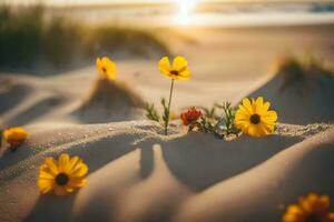 flores en el playa a puesta de sol. generado por ai foto