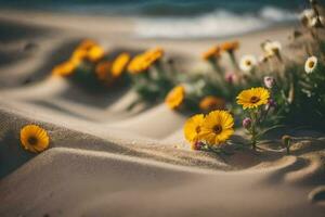 foto fondo de pantalla arena, flores, el mar, el playa, el arena, el flores, el. generado por ai