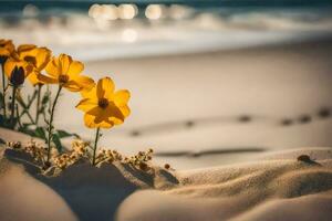 photo wallpaper the beach, flowers, sand, sand dunes, flowers, flowers, flowers,. AI-Generated