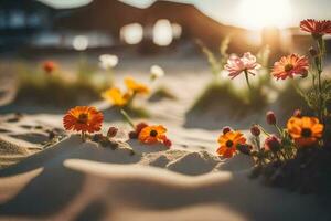 flores en el arena a puesta de sol. generado por ai foto