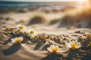 el playa, flores, arena, atardecer, flores, flores en el arena, flores en el. generado por ai foto