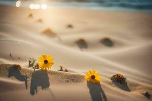 foto fondo de pantalla arena, el playa, flores, el sol, el mar, el arena, el. generado por ai