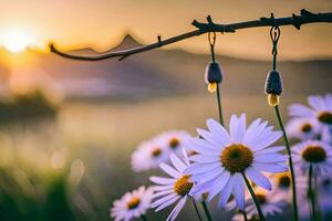 the sun is setting over a field of daisies. AI-Generated photo