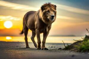 a lion walking on the beach at sunset. AI-Generated photo