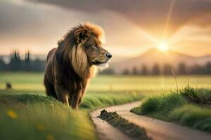 the lion is walking on the road at sunset. AI-Generated photo