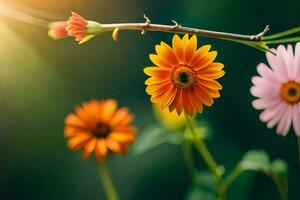 vistoso flores son mostrado en frente de un verde antecedentes. generado por ai foto