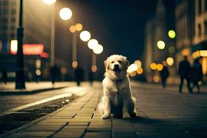 a white dog sitting on the sidewalk at night. AI-Generated photo