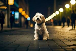 un pequeño perro sentado en el acera a noche. generado por ai foto