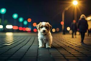 un pequeño perro es en pie en un calle a noche. generado por ai foto