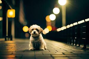 a small dog sitting on the sidewalk at night. AI-Generated photo