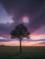 Wide angle shot of a single tree growing under a clouded sky during a sunset generative ai photo