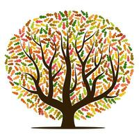 Autumn tree with yellow, orange, brown and green leaves. Vector illustration