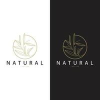 Minimalist Feminine Botanical Flower Beauty Line Plant Logo, Design Vector illustration