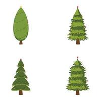 Set of Flat Christmas trees, pines for celebration Christmas and New Years vector