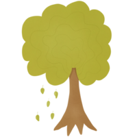 Autumn green tree png