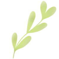 Cute Green Plant png