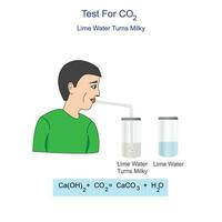 Diagram for the testing of carbon dioxide gas. bubble carbondioxide through limewater, it forms a solid precipitate of calcium carbonate and lime water turns milky. vector