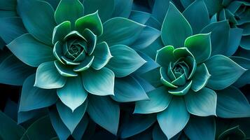 Blue cactus, agave, nature abstract background, macro. Generative AI photo