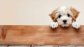 Cute dog, puppy, pet, white background. Generative AI photo