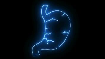 animación de humano estómago con brillante neón líneas video