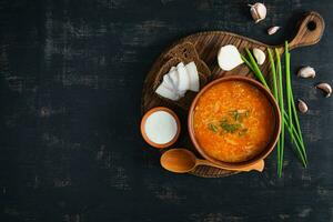 Cabbage soup in bowl with green onion, bread and salo on dark background. Top view photo