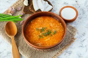 Cabbage soup in bowl with green onion, bread and salo on white background photo