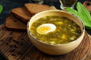 verde sopa con Alazán, carne y huevo. tradicional Alazán sopa de remolacha foto