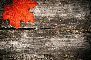 Flatlay composition with autumn leaf on the wooden background. Copy space. Top view. Selective focus. photo