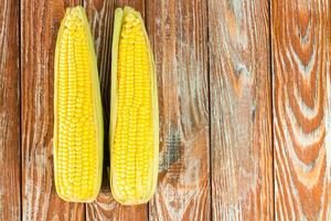 Two ripe corn on a wooden background. Growing organic corn. Organic food concept. Copy space. photo